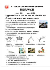哈尔滨市47中学2024-2025学年九年级上学期11月月考化学试卷和答案