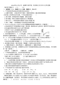 山东省淄博市张店区淄博外语学校2024-2025学年九年级上学期11月月考化学试题