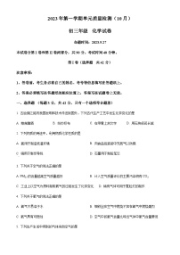 广东省广州市天河区第八十九中学2023-2024学年九年级上学期10月月考化学试题（含答案）