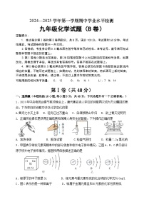 山东省滨州市无棣县2024-2025学年九年级上学期期中考试化学试题（B）