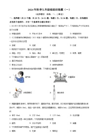 湖北省孝感市汉川市部分学校2024-2025学年上学期九年级第一次月考理综试卷-初中化学（原卷版）-A4