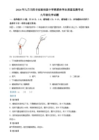 湖北省宜昌市当阳市实验初级中学2024-2025学年九年级上学期9月月考化学试题（解析版）-A4