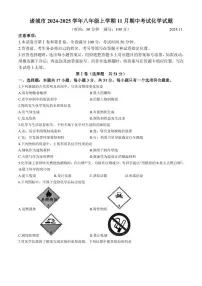 2024～2025学年山东省潍坊市诸城市八年级(上)期中化学试卷(含答案)
