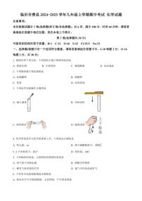 2024～2025学年山东省临沂市费县九年级(上)期中化学试卷(含答案)