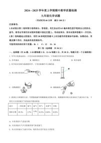 2024～2025学年山东省临沂市莒南县九年级(上)期中化学试卷(含答案)