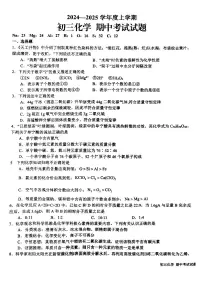 山东省日照市新营中学2024-2025学年九年级上学期期中考试化学试卷