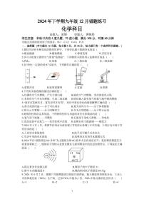 湖南省长沙市雅礼教育集团部分学校2024--2025学年九年级上学期第三次月考化学试卷