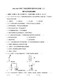 广东省东莞市可园中学2024-2025学年九年级上学期期中化学试卷