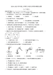 安徽省合肥市第四十五中学工业区分校2024~2025学年九年级上学期化学期末模拟试题