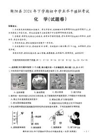 湖南省衡阳市衡阳县2024-2025学年九年级上学期初中学业水平模拟考试化学试题