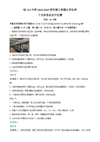 黑龙江省哈尔滨市第一一三中学校2024-2025学年九年级上学期十月份学业水平反馈化学试题（解析版）-A4