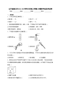 辽宁省营口市2024-2025学年九年级上学期11月期中考试化学试卷(含答案)