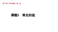 10.3 常见的盐 课件---2024--2025学年九年级化学人教版（2024）下册