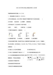 2024～2025学年吉林省吉林市永吉县第十三中学九年级(上)11月月考化学试卷(含答案)