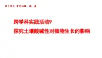 化学九年级下册（2024）跨学科实践活动9 探究土壤酸碱性对植物生长的影响说课ppt课件