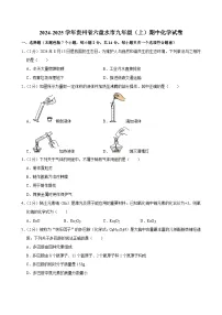 贵州省六盘水市2024-2025学年九年级上学期期中考试化学试卷