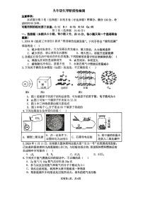 山东菏泽市牡丹区第二十一初级中学2024-2025学年九年级上学期12月份月考化学试卷