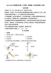 广东省惠州市惠阳区第一中学2024-2025学年九年级上学期11月期中考试化学试题
