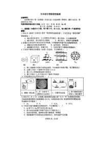 2024～2025学年山东菏泽市牡丹区第二十一初级中学九年级(上)12月份月考化学试卷(无答案)