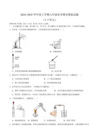 安徽省合肥市第三十九中学2024～2025学年九年级(上)化学期末模拟试卷(含答案)