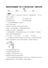 湖南省怀化市溆浦县第一中学2025届九年级(上)期中化学试卷(含答案)