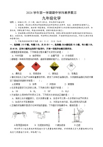 广东省佛山市顺德区2024-2025学年九年级上学期期中考试化学试题