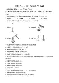 湖北省襄阳市实验中学教育集团2024-2025学年九年级上学期期中考试化学试卷