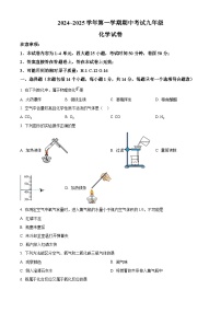 河南省洛阳市嵩县2024-2025学年九年级上学期期中考试化学试卷