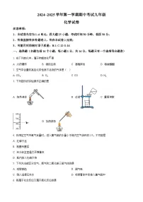 河南省洛阳市嵩县2024-2025学年九年级上学期期中考试化学试卷