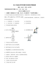 2024～2025学年山东省日照市五莲县北京路中学九年级(上)期中化学试卷(含答案)