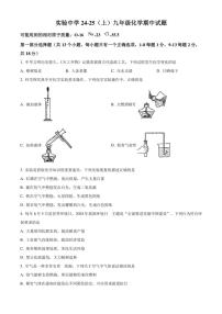 2024～2025学年湖北省襄阳市实验中学教育集团九年级(上)期中化学试卷(含答案)