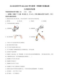 2024～2025学年贵州省黔东南州从江县往洞中学九年级(上)期中化学试卷(含答案)