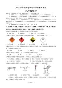2024～2025学年广东省佛山市顺德区九年级(上)期中化学试卷(含答案)
