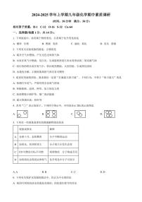 2024～2025学年河南省漯河市实验中学九年级(上)期中化学试卷(含答案)