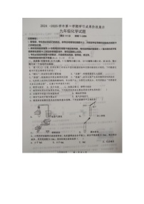 山东省德州市武城县2024-2025学年九年级上学期期中考试化学试题