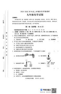 山东省临沂市临沭县2024-2025学年九年级上学期11月期中考试化学试卷