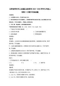 2024~2025学年江苏省苏州市工业园区五校联考九年级上学期11月期中考试化学试卷(解析版)