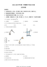 2024～2025学年河南省洛阳市嵩县九年级(上)期中化学试卷(含答案)