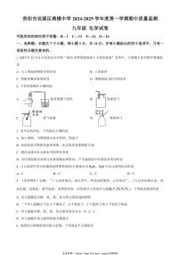 2024～2025学年贵州省贵阳市花溪区燕楼中学九年级(上)期中化学试卷(含答案)