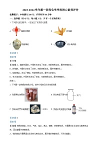 广东省江门市蓬江区第九中学2023-2024学年九年级上学期第一次月考化学试题（解析版）-A4