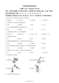 江苏省扬州市梅苑双语学校2023-2024学年九年级上学期12月月考化学试题