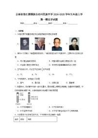 云南省怒江傈僳族自治州民族中学2024-2025学年九年级上学期一模化学试题