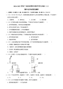 广东省东莞市可园中学2024-2025学年九年级上学期期中化学试卷-A4