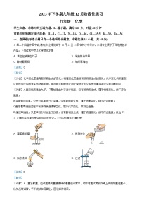 湖南省长沙市雅礼教育集团2023-2024学年九年级上学期12月月考化学试题（解析版）-A4