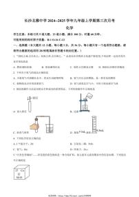 2024～2025学年湖南省长沙市北雅中学九年级(上)第三次月考化学试卷(含答案)