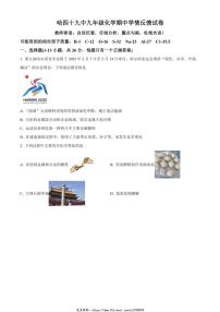 2024～2025学年黑龙江省哈尔滨市第四十九中学九年级(上)期中化学试卷(含答案)