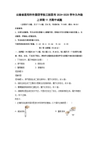 2024-2025学年云南省昆明市外国语学校三校联考九年级(上)11月期中化学试卷(解析版)