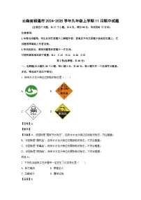 2024-2025学年云南省昭通市九年级(上)11月期中化学试卷(解析版)