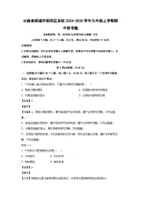 2024-2025学年云南省昭通市昭阳区多校九年级(上)期中联考题化学试卷(解析版)