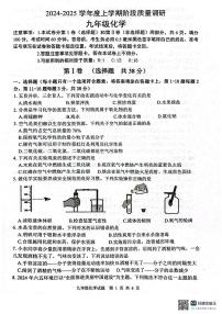 山东省临沂市兰陵县2024-2025学年九年级上学期11月期中考试化学试题
